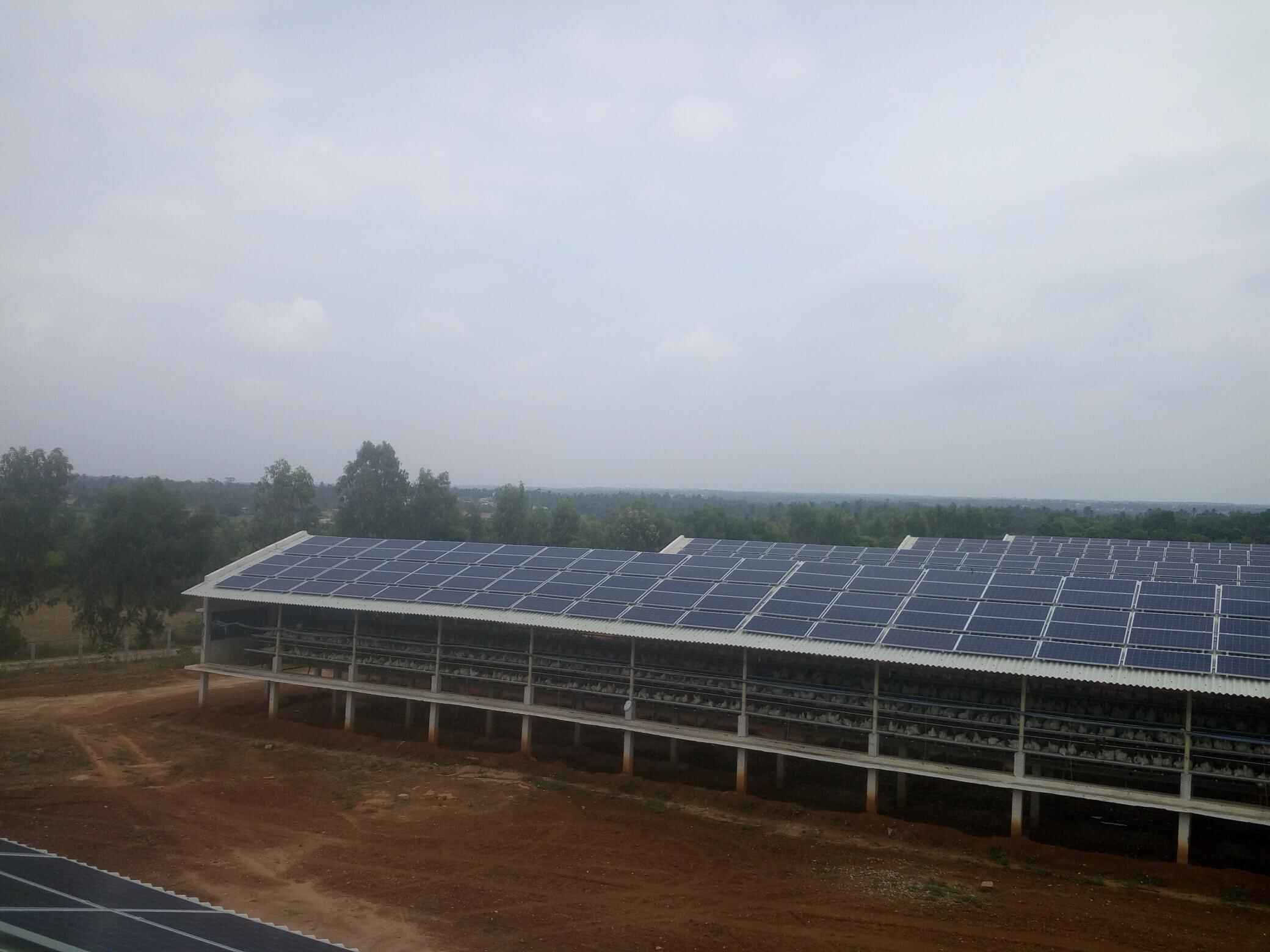 Akshaya Poultry Farm